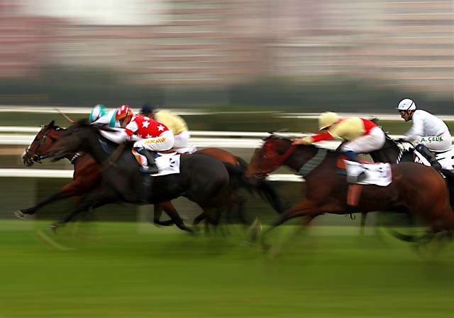 Sports Betting